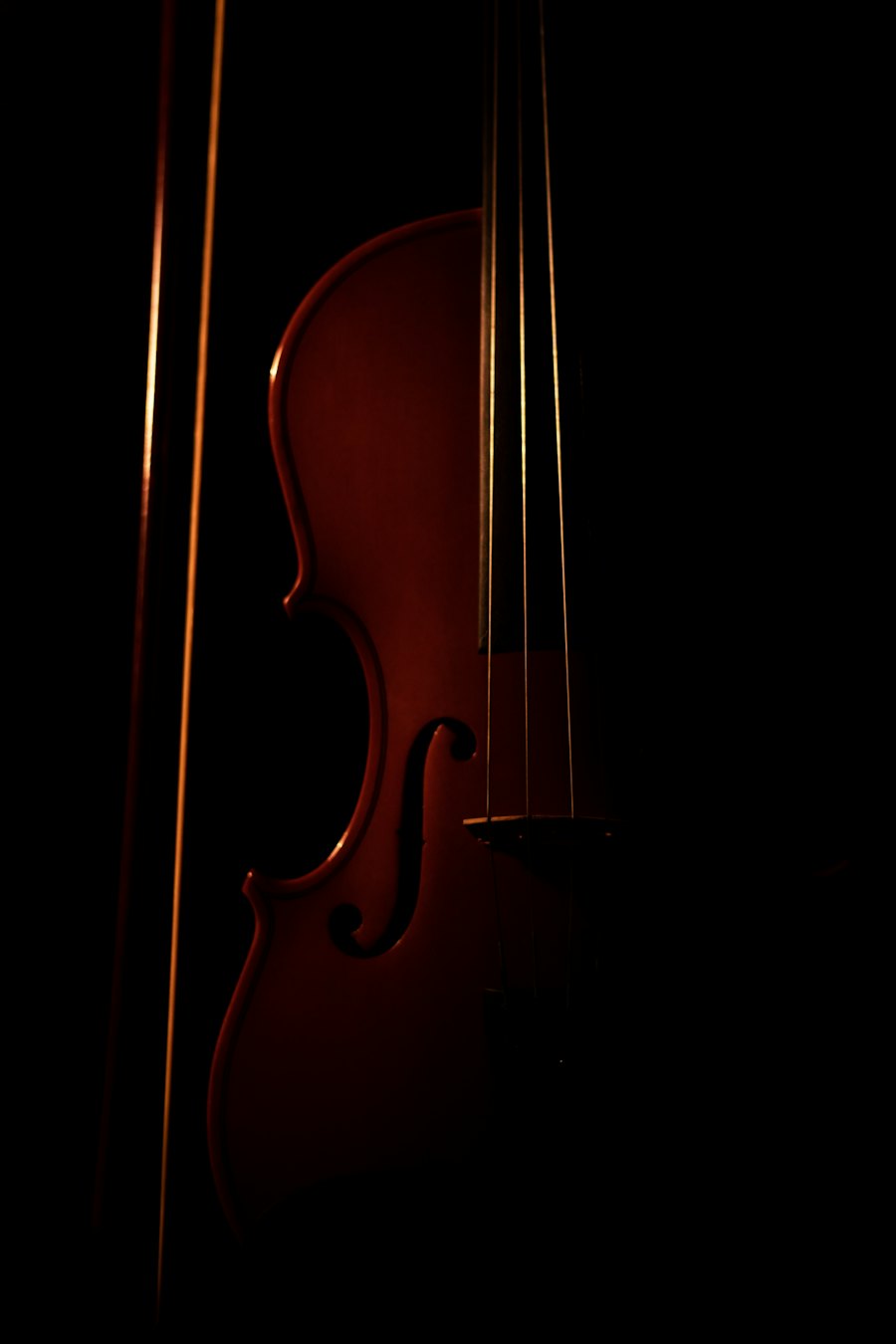 Violin on a dark background